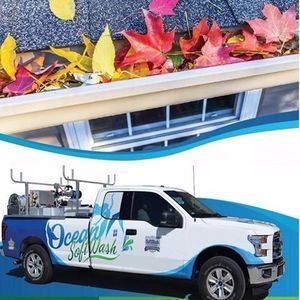Ocean SoftWash Roof and Exterior Cleaning - Chilliwack, BC, Canada