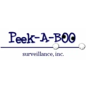 Covert One Security Cameras - Southfield, MI, USA