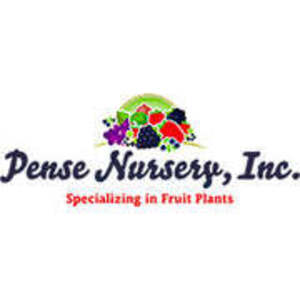 Pense Nursery, Inc. - Mountainburg, AR, USA