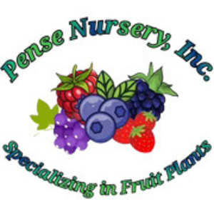 Pense Berry Farm - Mountainburg, AR, USA
