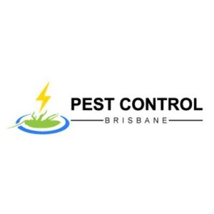Best Pest Control Brisbane - Brisbane, QLD, Australia