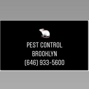 pest control brooklyn
