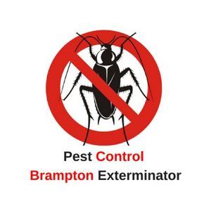 Pest Control Brampton Exterminator - Brampton, ON, Canada