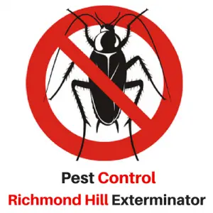 Pest Control Richmond Hill Exterminator - Richmond Hill, ON, Canada