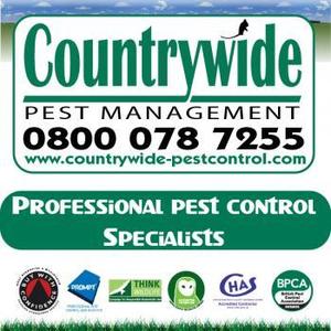 Countrywide Pest Control - Newbury - Newbury, Berkshire, United Kingdom