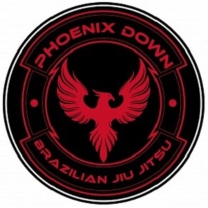 Phoenix Down Brazilian Jiu Jitsu - Hiawatha, IA, USA