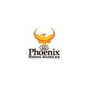 Phoenix Rising Saddles - Jamestown, NY, USA
