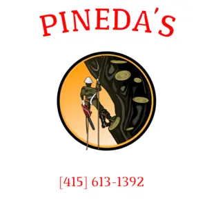 Pineda\'s Tree Service - San Pablo, CA, USA