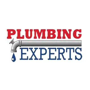 Plumbing Experts - Ferndale, MI, USA