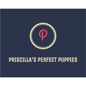 Priscilla\'s Perfect Puppies - Sherman, ME, USA