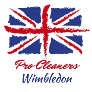 Pro Cleaners Wimbledon