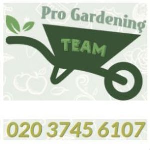 Pro Gardening Team