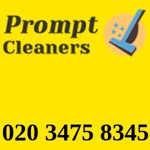 Prompt Cleaners Ltd. - Greater London, London S, United Kingdom