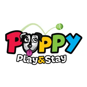 Puppy Play and Stay - Lakeville, MN, USA