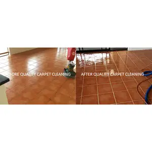 Quality Carpet Cleaner