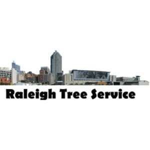 Raleigh Tree Service - Raleigh, NC, USA