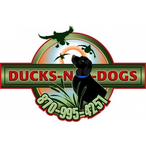 Ducks n Dogs - St Charles, AR, USA