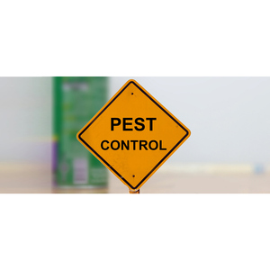 Regal Pest Control Geelong - Newtown, VIC, Australia