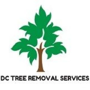 DC Tree Removal Services - Washington, DC, USA