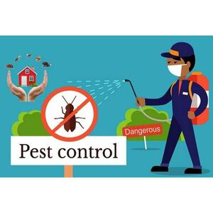 24/7 Local Pest Control - Miami, FL, USA
