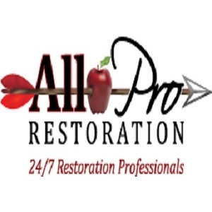 All Pro Restoration - Denver, CO, USA