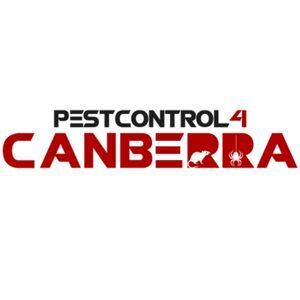 German Cockroach Control Canberra - Canberra, ACT, Australia