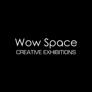Wow Space Creative Exhibition - Shrewsbury Shropshire, Shropshire, United Kingdom
