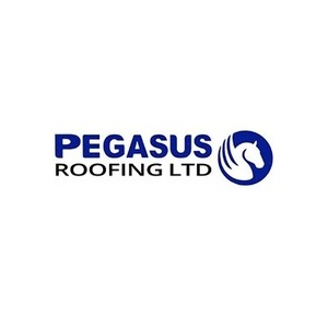 Pegasus Pegasus - Bedworth, Warwickshire, United Kingdom