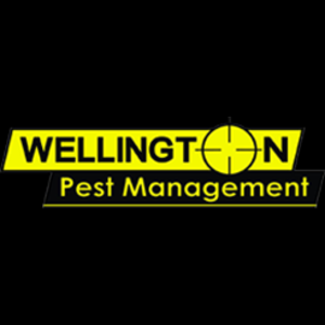 WELLINGTON PEST MANAGEMENT - Newtown, Wellington, New Zealand