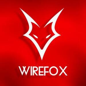 Wirefox Digital Agency Birmingham - Birmingham, West Midlands, United Kingdom