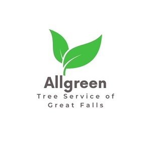 Allgreen Tree Service Great Falls - Great Falls, MT, USA