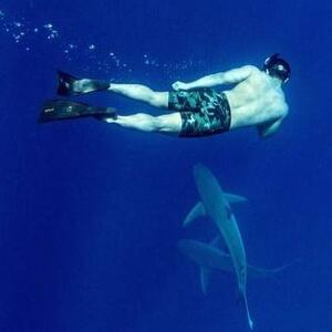Shark Diving Oahu