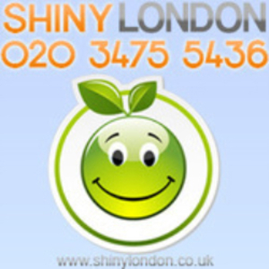 Shiny London - Fulham, London S, United Kingdom