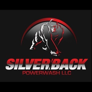 Silverback Powerwash, LLC - Clearwater, FL, USA