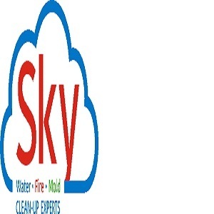 Sky Restoration - Windermere, FL, USA