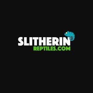 Slitherin Reptiles - Coalville, Leicestershire, United Kingdom