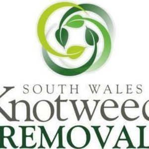 South Wales Knotweed Removal - Ammanford, Carmarthenshire, United Kingdom