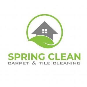 Spring Clean Carpet & Tile Cleaning - Scottsdale, AZ, USA