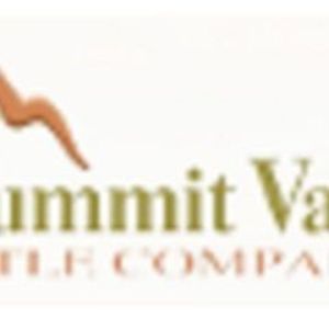 Summit Valley Title Co - Butte, MT, USA