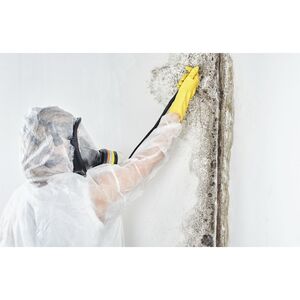 Tally Mold Inspections - Tallahassee, FL, USA