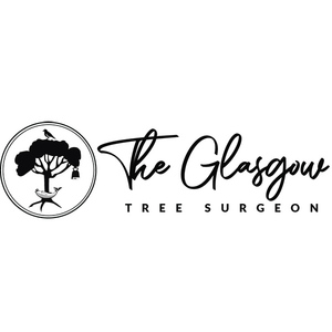 The Glasgow Tree Surgeon - Glasgow, North Lanarkshire, United Kingdom