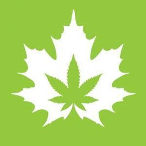 The House of Cannabis - Tornoto, ON, Canada