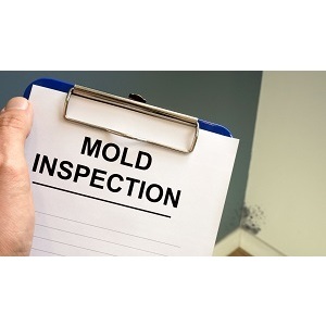 Norland Mold Inspection - Miami, FL, USA