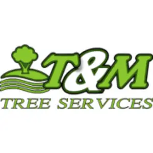 T and M Tree Services - Buccan, QLD, Australia