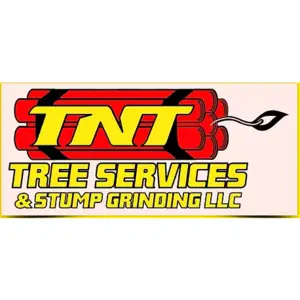 T N T Tree Service and Stump Grinding, LLC - Cedar Springs, MI, USA