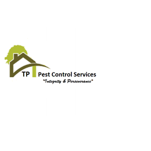 TP Pest Control Services - Rat Control - Poole, Dorset, United Kingdom