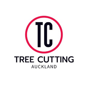 Auckland tree felling services by professional arborists - San Jose, CA, USA