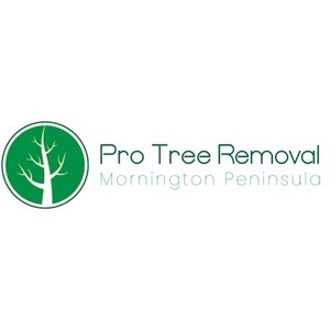 Tree Removal Mornington Peninsula