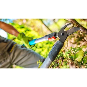 Rotherham Tree Pruning - Rotherham, South Yorkshire, United Kingdom