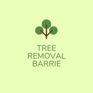 Tree Removal Barrie - Barrie, ON, Canada